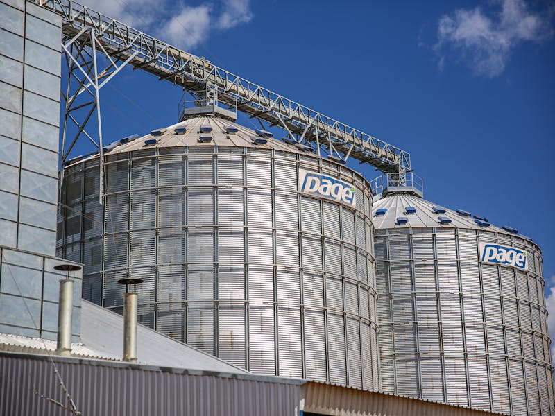 pexels-photo-31226905